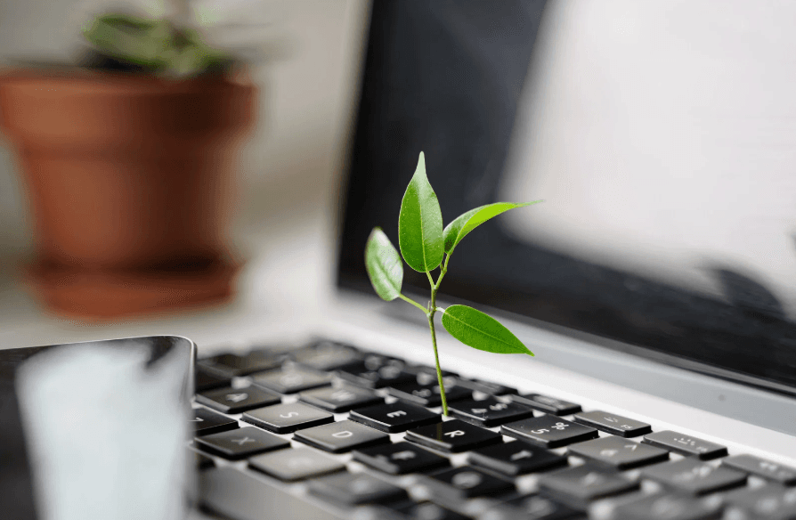 Green UX : qu’est-ce que c’est et pourquoi l’utiliser ?
