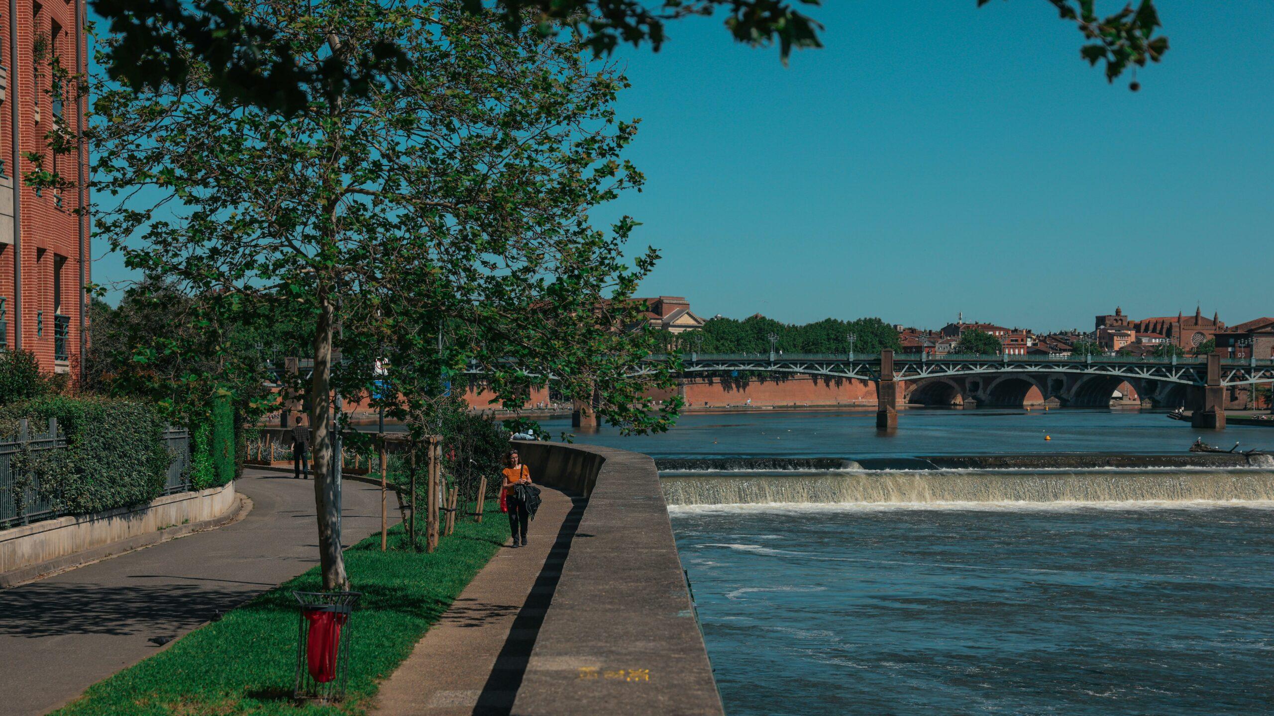 L’Île d’Empalot : Un Lieu d’Inspiration et de Détente pour les Étudiants en Web à Toulouse