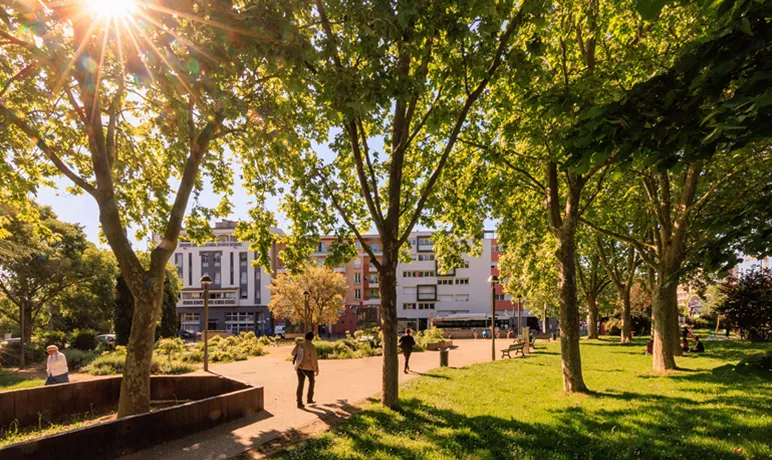 Soupetard : un quartier dynamique de Toulouse au service de votre transformation digitale